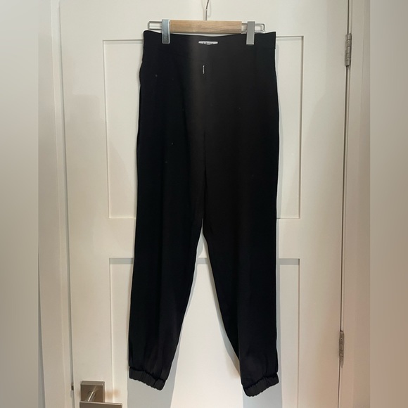 Babaton dress pant - jogger - Picture 2 of 5